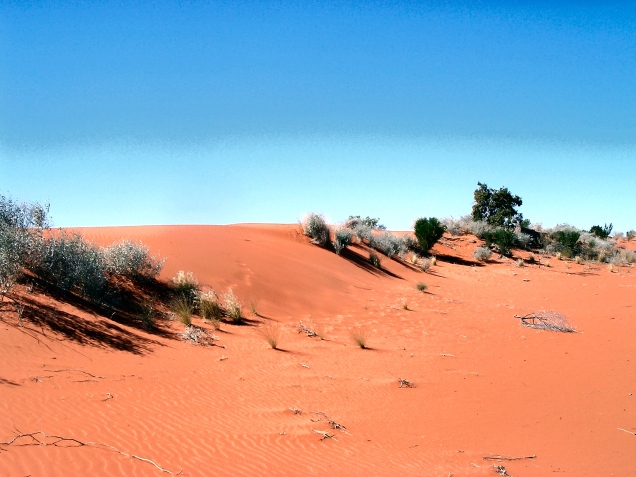 Sand dunes in the Australian Outback