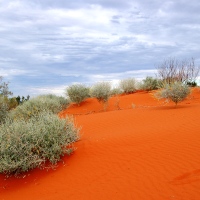 Colours of the Australian Outback (Desert Dunes)