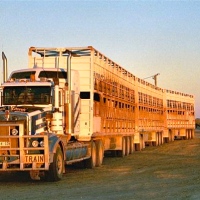 Road-Train (Outback Australia)