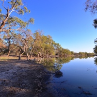 By the Billabong (Reflecting on the Australian Outback)