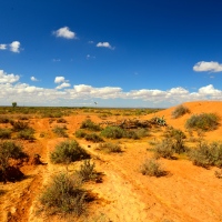 The Flinders Ranges and Wilpena Pound