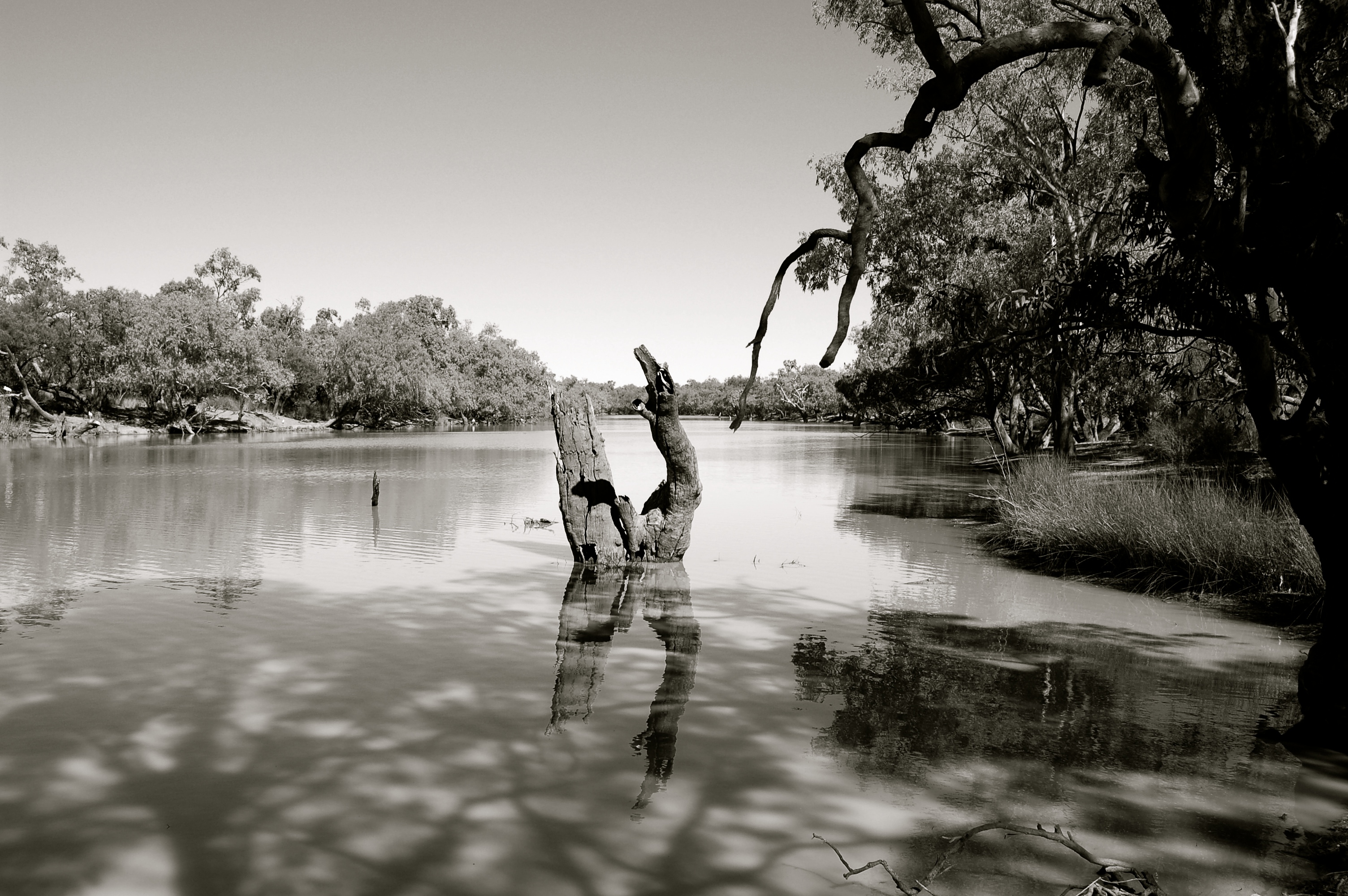 Outback Australia (Paroo River)