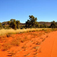 Postcard from the Outback