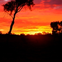The Australian Outback (At Sunset)
